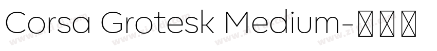Corsa Grotesk Medium字体转换